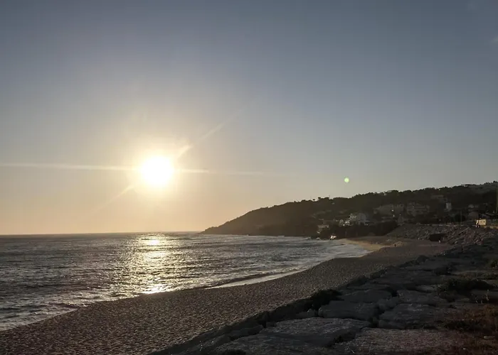 Bamboo House アパート *