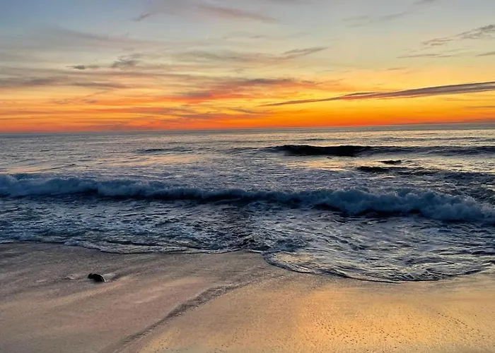 Bamboo House フィゲイラ・ダ・フォズ