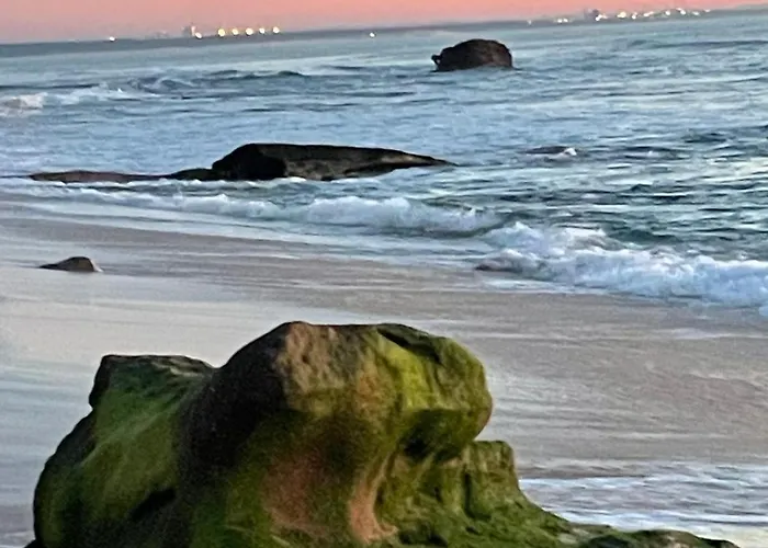 Bamboo House アパート フィゲイラ・ダ・フォズ