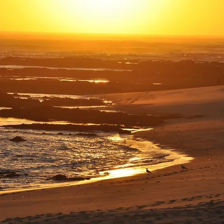 Bamboo House Apartman