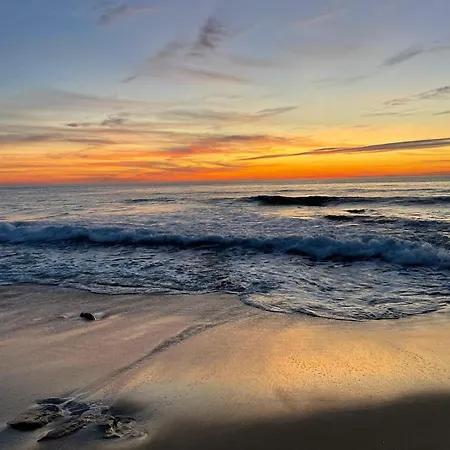 Bamboo House Figueira da Foz