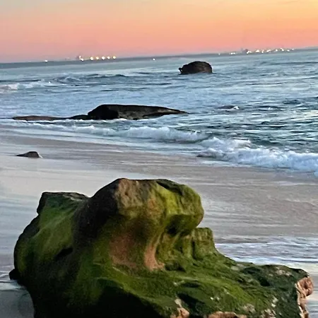 Bamboo House Apartman Figueira da Foz