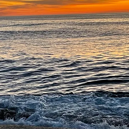 Apartman Bamboo House