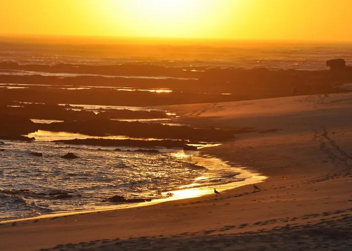 Bamboo House Apartment