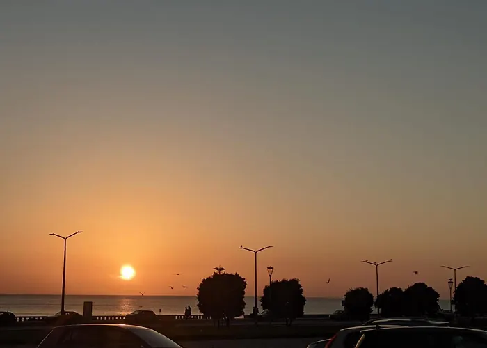 Apartment Bamboo House